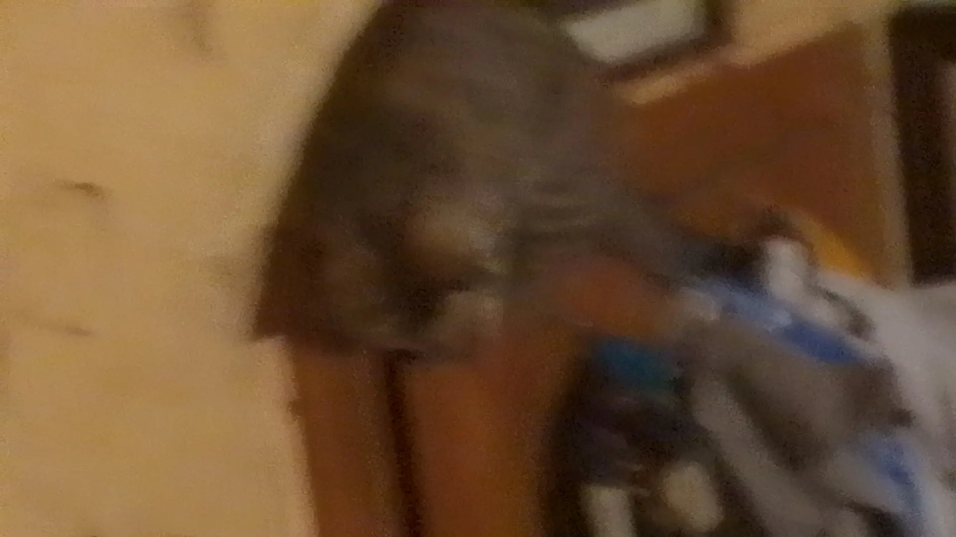 Котик 12